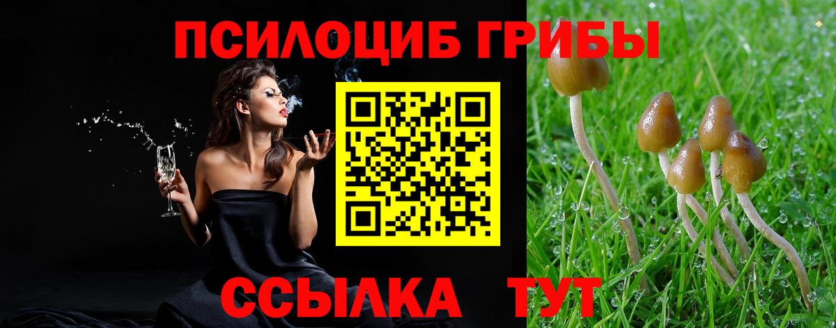 Псилоцибиновые грибы прущие грибы Амурск